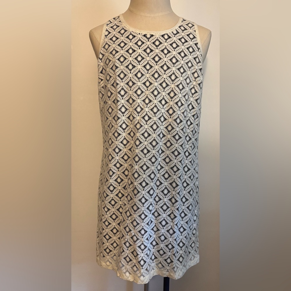 Party Dress! Sleeveless, white lace with black lining!